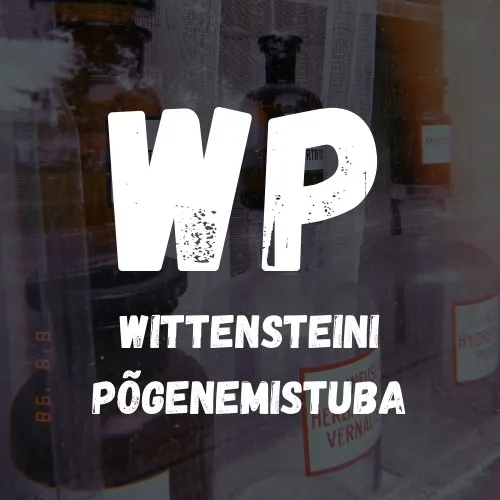 Wittensteini põgenemistuba